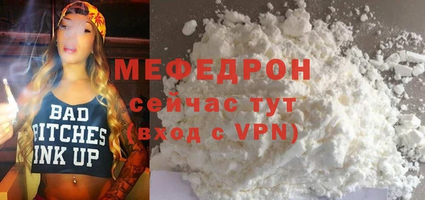 индика Козельск