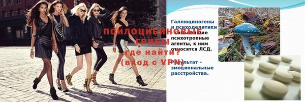 таблы Карпинск