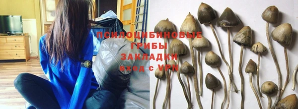 твердый Кинешма