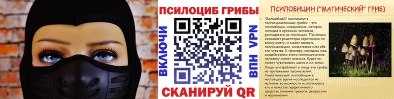 Псилоцибиновые грибы Psilocybe  блэк спрут зеркало  Калтан 